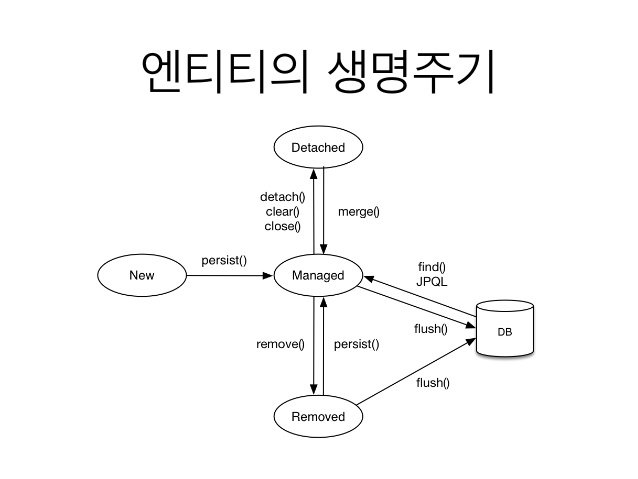 entity object life cycle